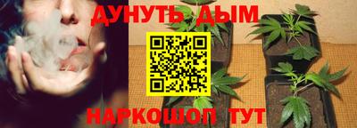 молекула духа Кингисепп