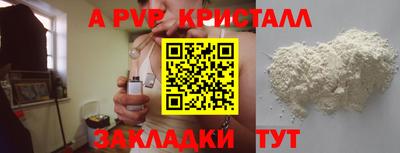 молекула духа Кингисепп