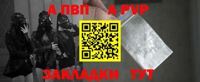 молекула духа Кингисепп