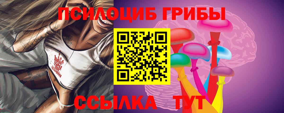 Псилоцибиновые грибы GOLDEN TEACHER  Вход с VPN  Галлюциногенные грибы GOLDEN TEACHER  Кисловодск 